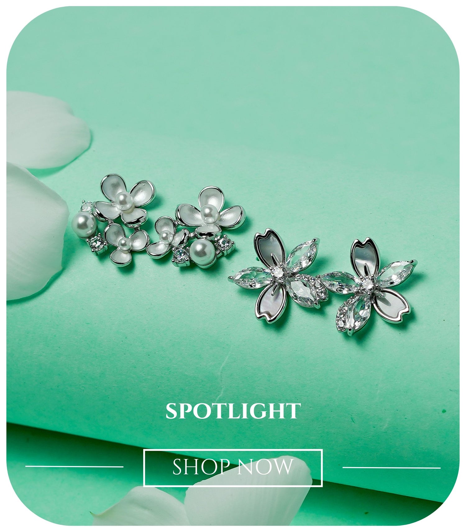 The Spotlight